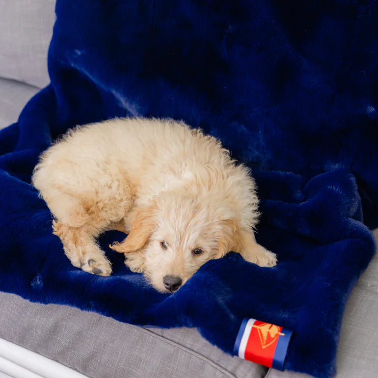 Blanket- Navy - Long Lap Faux Fur / Water Proof Blanket - Pretty Rugged